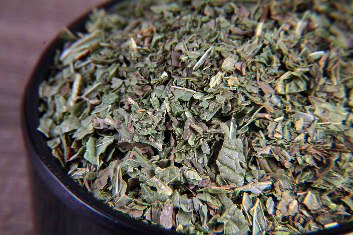 freeze dried mint/pudina herb 7